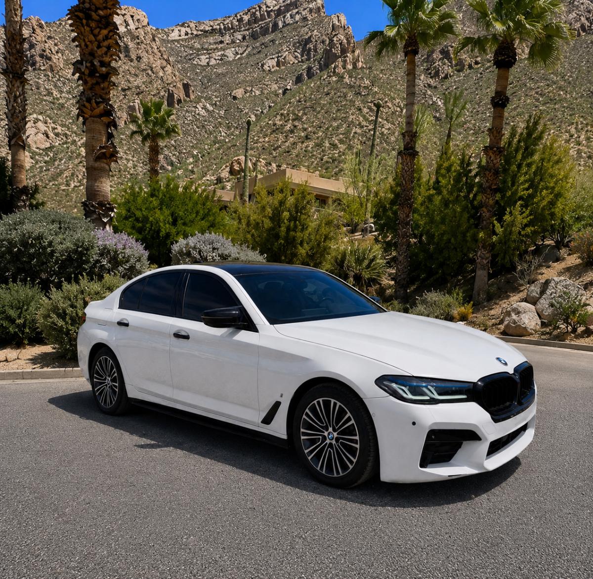 2019 BMW 5 Series 530e - Photo 11